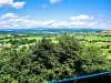 Vue panoramique depuis le belvédère du grand bois (© J.E)