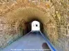 Fort Broussier - Tunnel d'accès à la cour d'honneur (© J.E)