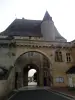 Château de Jonzac