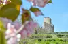 Toren van kasteel van Kaysersberg in het voorjaar