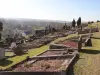 Panorama of the old cemetery