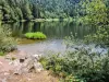 湖泊Blanchemer - 自然景点在La Bresse