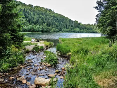 Lac de la Lande - Site naturel à La Bresse