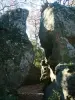 Las rocas trepadoras