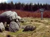 Dolmen de La Pierre courcoulée - Monument à Landéan
