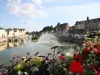 Town of Laval, the castle, the river