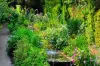 Цветочный парк - Haute-Bretagne - Занятие-досуг — Le Châtellier