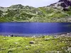 First Lake Jovet