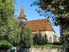 Toiture de l'église Saint-Pierre (© J.E)