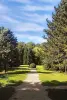 Lyons-la-Forêt, arboretum de lyons