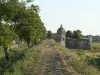 Hiers-Brouage - Chemin longeant la muraille de la citadelle