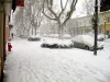 La neige à Miramas en janvier 2009... étonnant !