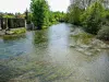 La Bèze, vue en aval de la passerelle de l'ancien gué (© J.E)