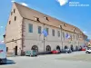 Molsheim - Hotel de la Monnaie (© Jean Espirat)