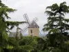 Mont-Dol - Guide tourisme, vacances & week-end en Ille-et-Vilaine