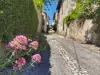 Les ruelles et les placettes avec les maisons typiques, à colombages