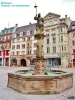 Fontaine de l'Hallebardier - Place de la Réunion (© J.E)