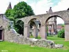 Ruines de l'abbaye (© Jean Espirat)