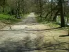 Le parc royal de la Garenne : promenade de 1,5 km