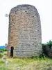Torre de Menagem de Frankenbourg (© JE)