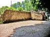 Rempart Ouest de l'ancien château de Nozeroy (© Jean Espirat)