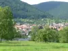 Oberhaslach - Führer für Tourismus, Urlaub & Wochenende im Unterrhein