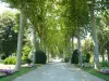 Public garden of Oloron-Sainte-Marie
