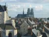 View of the Holy Cross Cathedral and the church of Saint-Paterne