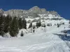 Station de Plaine Joux