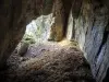 洞窟のポーチ、内側から見える(©J.E)