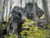 Monstrous Rock en el Bois de la Côte en Vermondans (© JE)