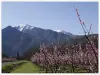 Le Canigou, la montagne sacrée des Catalans