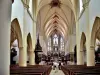 Remiremont - Kirchenschiff (© JE)