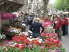 Grande foire aux fleurs en mai