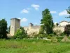 La citadelle et une partie des remparts