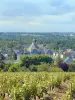 Rochefort-sur-Loire - Guía turismo, vacaciones y fines de semana en Maine y Loira