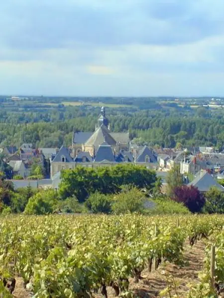 Rochefort-sur-Loire - Tourisme, Vacances & Week-end