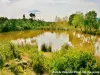 Etang des Chaoumes - Bois de Palayson (© Jean Espirat)