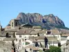 Roquebrune-sur-Argens - Guia de Turismo, férias & final de semana no Var