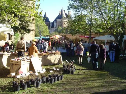 Saint-Élix-le-Château - Turismo, Vacaciones y Fines de semana
