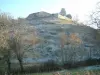 Vue générale du village fortifié de Saint-Haon-le-Châtel