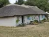 Museu de La Bourrine du Bois Juquaud - Lugar de lazer em Saint-Hilaire-de-Riez