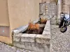 Fontaine-lavoir (© Jean Espirat)