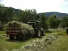 Saulxures-sur-Moselotte - The hay in June