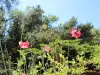 Jardin botanique (© Office de Tourisme du Pays de Saverne)