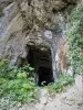 Porche de la grotte du château de la roche (© J.E)