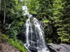 滝のTendon - 自然遺産のTendon
