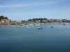 Port de Ploumanach vu de Trégastel