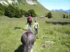 Cavalgue com os burros