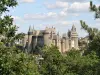 Castelo de Vitré (© JF Leroux)